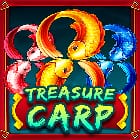 Treasure Carp icon